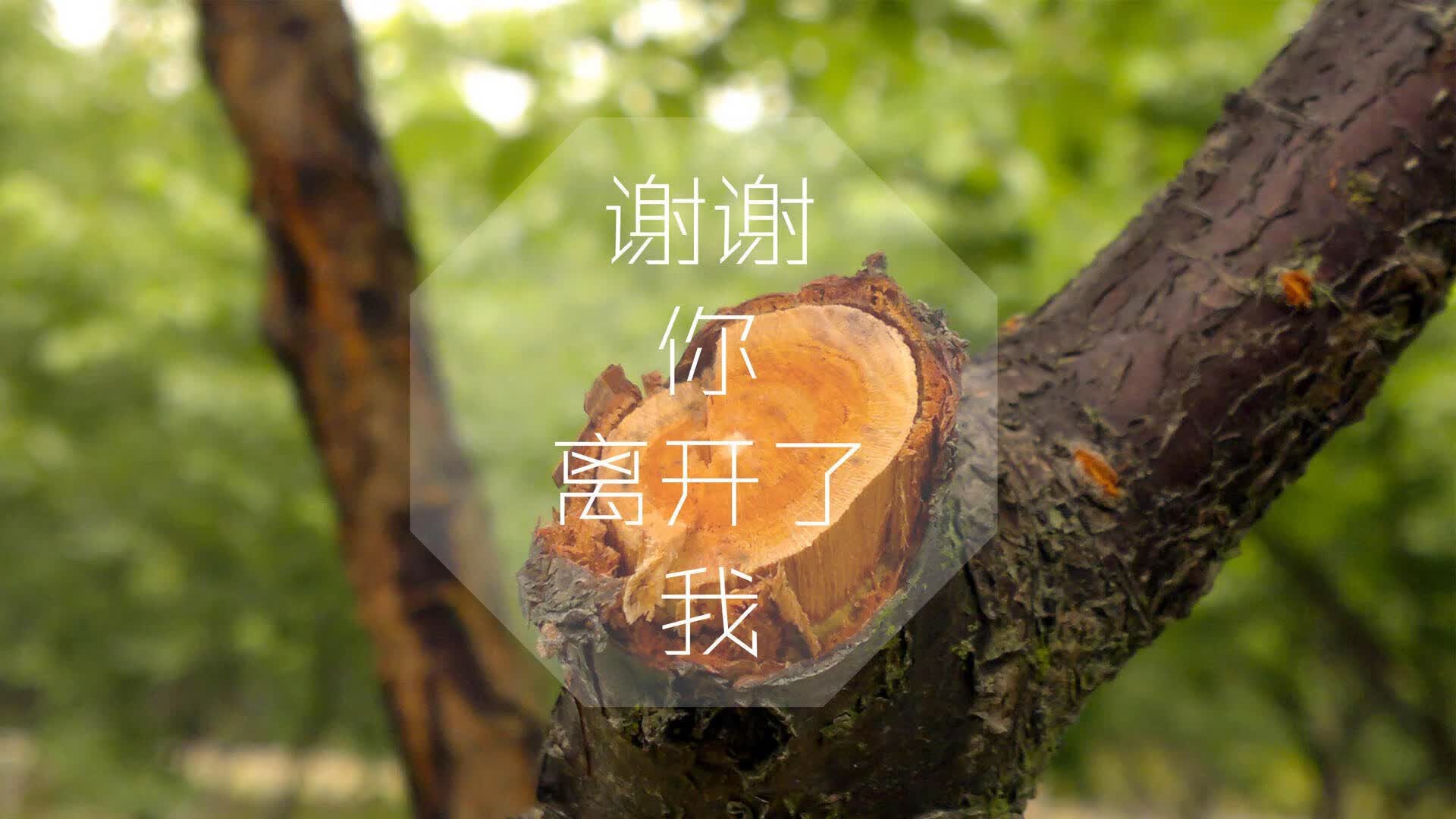 世界乒乓球联赛赛场文化活动与青少年互动成果汇报，乒乓球赛事主题